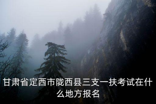 三支一扶報名入口官網(wǎng)，甘肅省定西市隴西縣三支一扶考試在什么地方報名