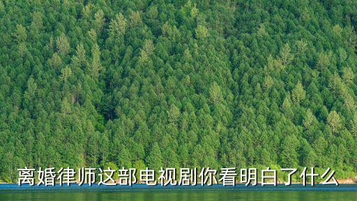離婚律師這部電視劇你看明白了什么