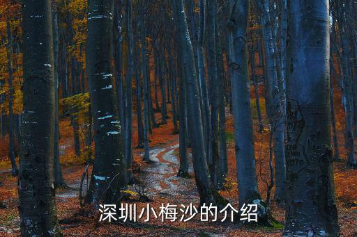 深圳小梅沙，深圳小梅沙的介紹