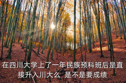 在四川大學上了一年民族預科班后是直接升入川大么  是不是要成績
