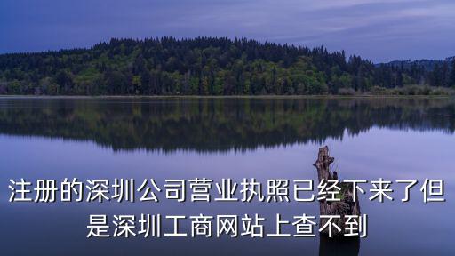 注冊的深圳公司營業執照已經下來了但是深圳工商網站上查不到