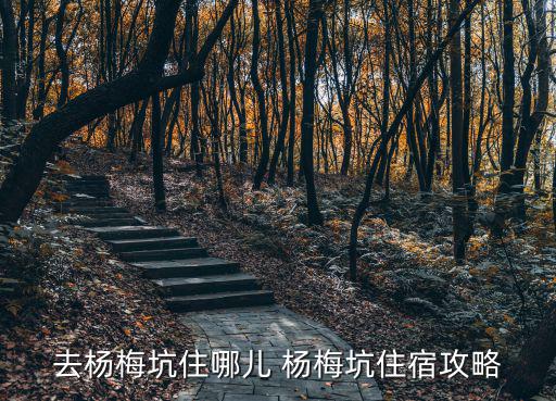 去楊梅坑住哪兒 楊梅坑住宿攻略