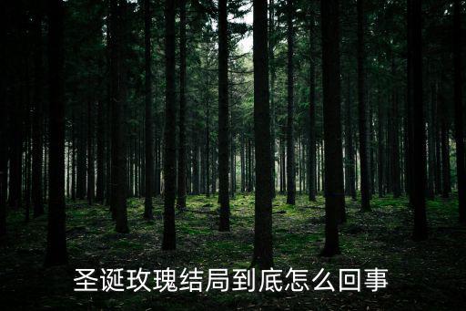 圣誕玫瑰結局到底怎么回事