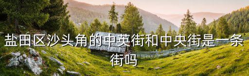 鹽田區沙頭角的中英街和中央街是一條街嗎