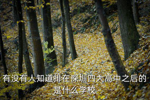 有沒有人知道排在深圳四大高中之后的是什么學校