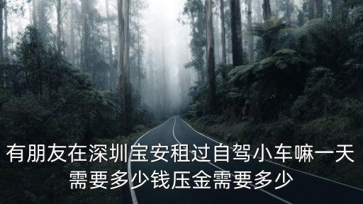 有朋友在深圳寶安租過自駕小車嘛一天需要多少錢壓金需要多少
