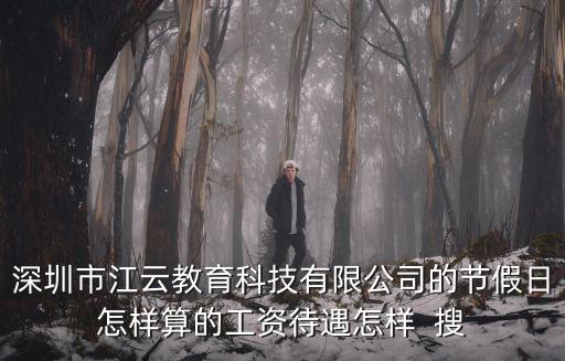 深圳市江云教育科技有限公司的節假日怎樣算的工資待遇怎樣  搜