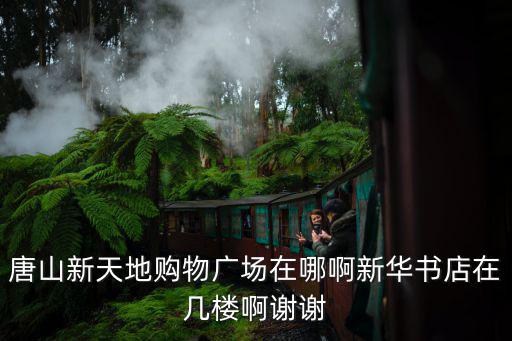 唐山新天地購物廣場在哪啊新華書店在幾樓啊謝謝