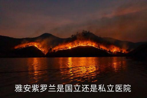 雅安紫羅蘭是國立還是私立醫院
