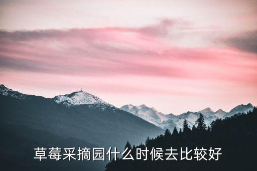 草莓采摘園什么時(shí)候去比較好