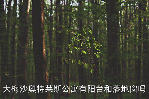 大梅沙奧特萊斯公寓有陽臺和落地窗嗎
