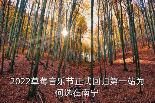 2022草莓音樂節(jié)正式回歸第一站為何選在南寧