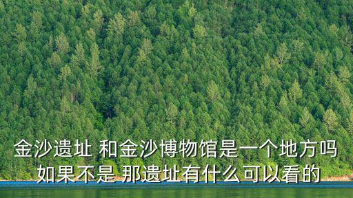 金沙遺址 和金沙博物館是一個(gè)地方嗎 如果不是 那遺址有什么可以看的