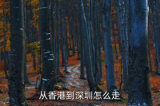 香港到深圳，從香港到深圳怎么走