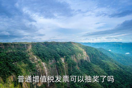 普通增值稅發票可以抽獎了嗎
