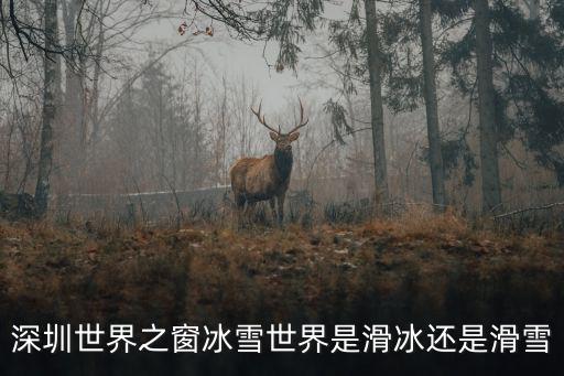 深圳滑雪，深圳冰雪世界在哪