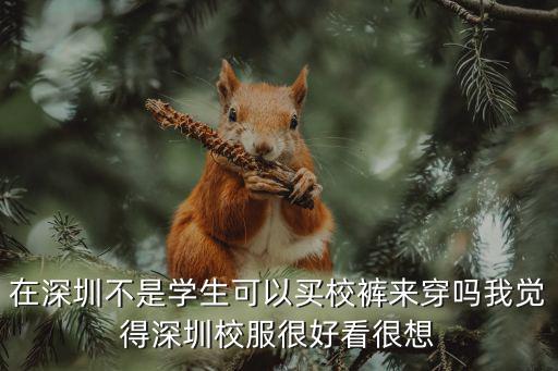 在深圳不是學(xué)生可以買校褲來穿嗎我覺得深圳校服很好看很想