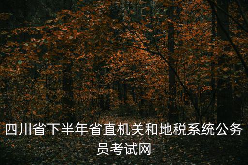 四川省下半年省直機(jī)關(guān)和地稅系統(tǒng)公務(wù)員考試網(wǎng)