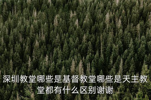深圳教堂哪些是基督教堂哪些是天主教堂都有什么區(qū)別謝謝