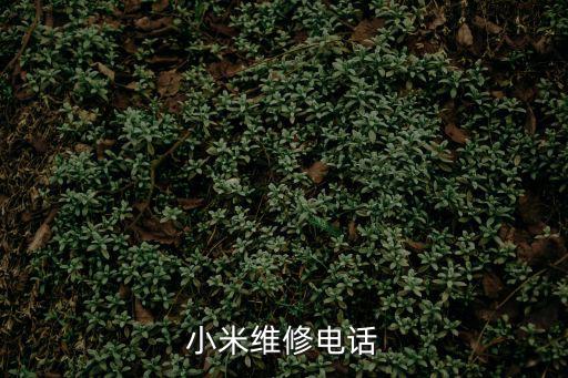 小米維修電話