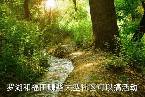 深圳活動(dòng)，2012年元宵節(jié)晚上深圳主要文化活動(dòng)有哪些