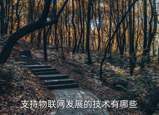 支持物聯網發展的技術有哪些