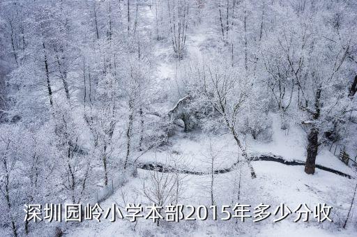 園嶺實驗小學，園嶺實驗小學能算是名校嗎