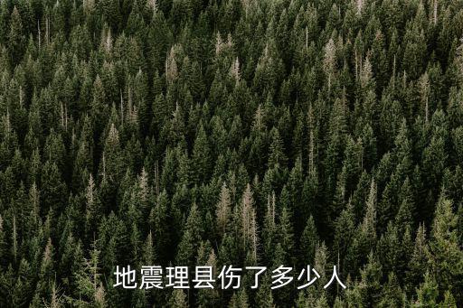 地震理縣傷了多少人