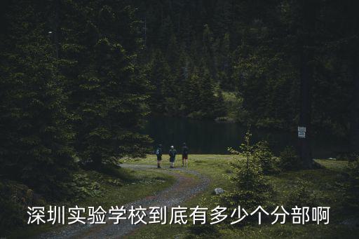 深圳實驗學(xué)校到底有多少個分部啊