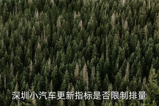 深圳小汽車更新指標是否限制排量