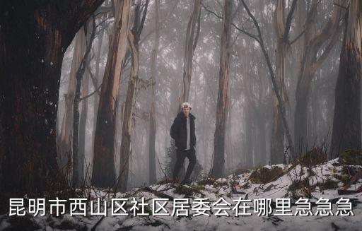 昆明市西山區社區居委會在哪里急急急