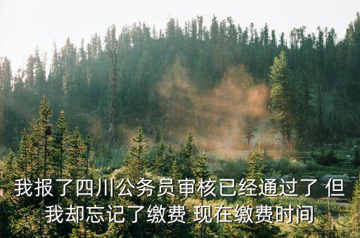 我報了四川公務員審核已經通過了 但我卻忘記了繳費 現在繳費時間