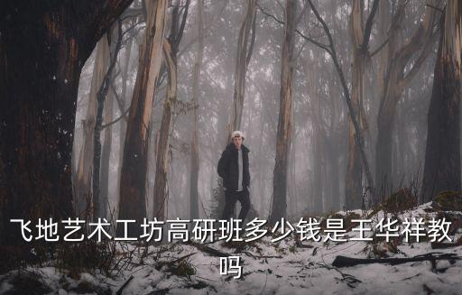 飛地藝術(shù)工坊高研班多少錢(qián)是王華祥教嗎