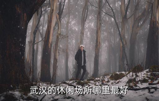 武漢的休閑場(chǎng)所哪里最好