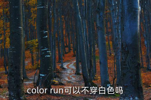 彩色跑官網，彩色跑是什么意思