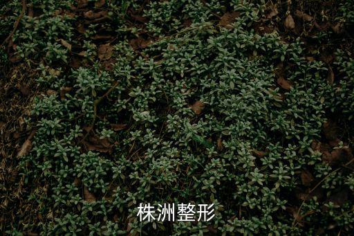 株洲整形
