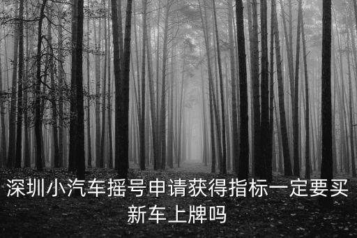 深圳小汽車搖號申請獲得指標一定要買新車上牌嗎