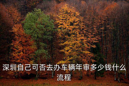 深圳自己可否去辦車輛年審多少錢什么流程