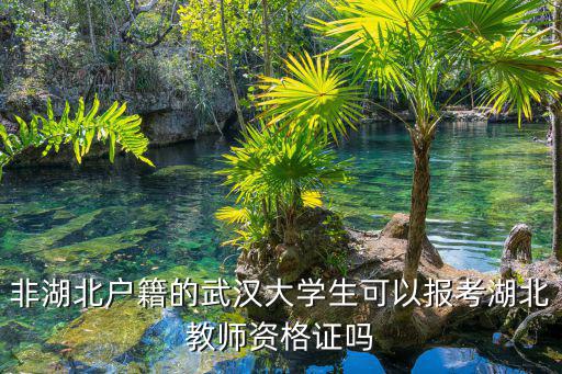 非湖北戶籍的武漢大學生可以報考湖北教師資格證嗎