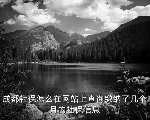 成都社保怎么在網站上查詢繳納了幾個月的社保信息