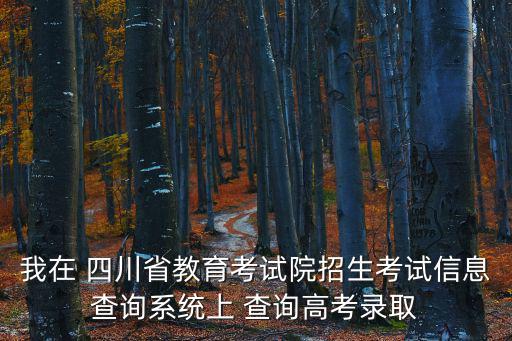 我在 四川省教育考試院招生考試信息查詢系統上 查詢高考錄取