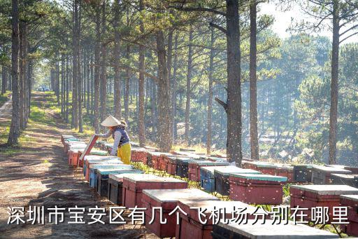 深圳市寶安區(qū)有幾個飛機場分別在哪里
