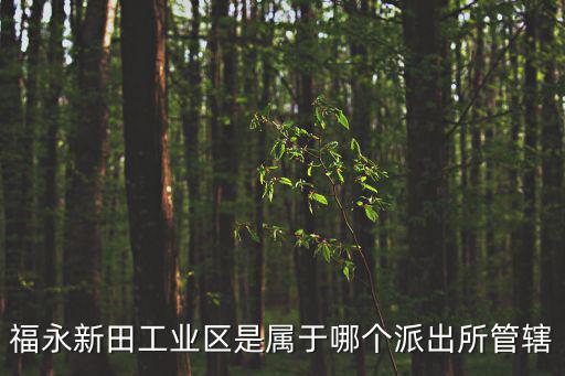 福永新田工業(yè)區(qū)是屬于哪個(gè)派出所管轄