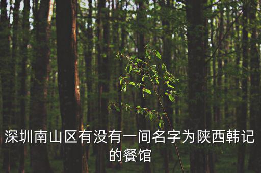 深圳南山區有沒有一間名字為陜西韓記的餐館