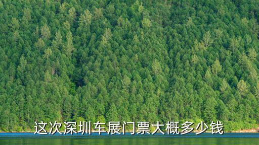 這次深圳車展門票大概多少錢