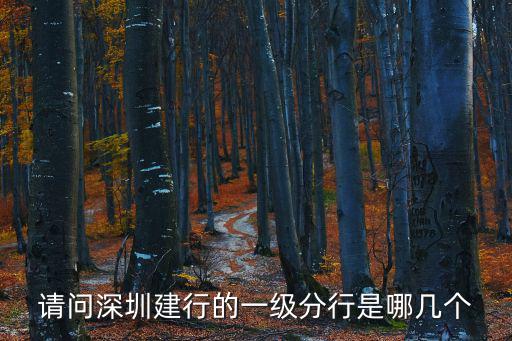 請問深圳建行的一級分行是哪幾個