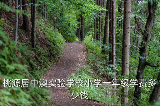 中澳實(shí)驗(yàn)學(xué)校，南京高中國(guó)際部