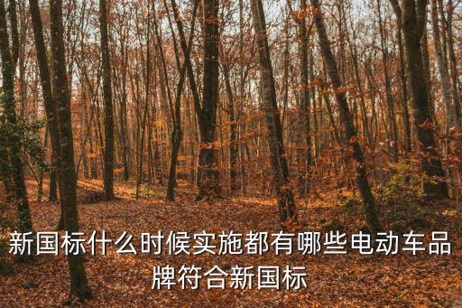 新國標(biāo)什么時候?qū)嵤┒加心男╇妱榆嚻放品闲聡鴺?biāo)