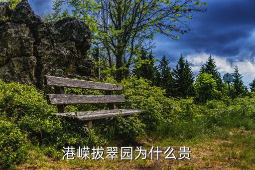 港嶸拔翠園為什么貴
