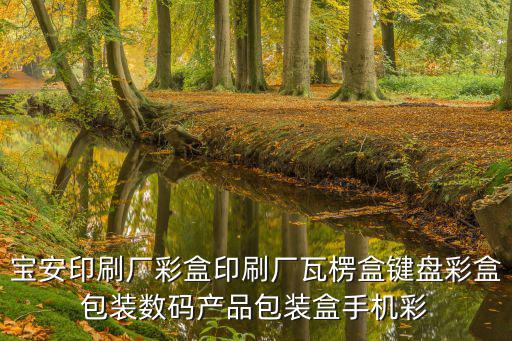 寶安印刷廠彩盒印刷廠瓦楞盒鍵盤彩盒包裝數碼產品包裝盒手機彩